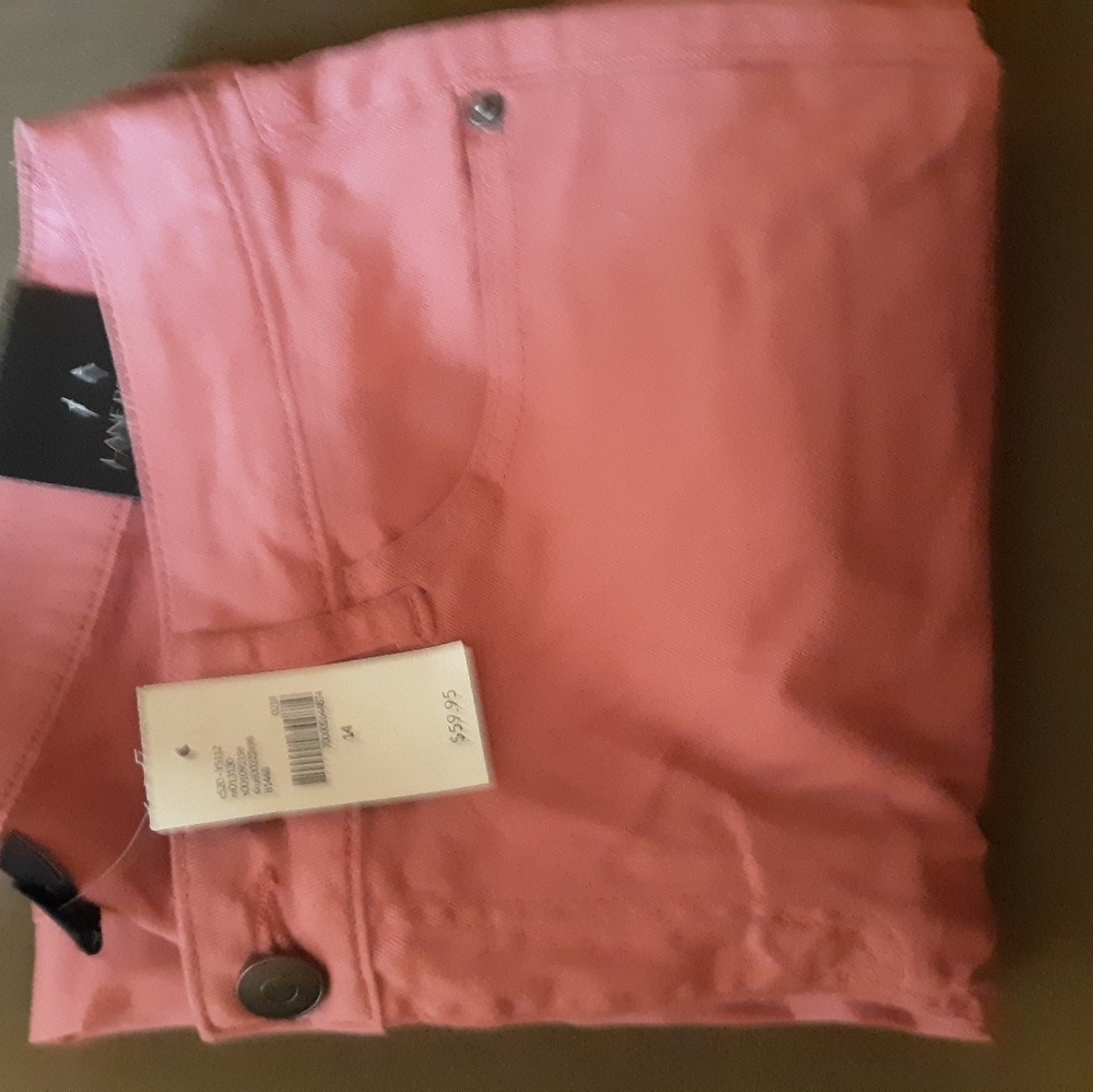 lane bryant pants